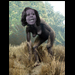 Michelle Cave Woman